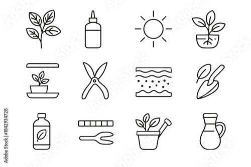 Icon vector shelf adjustable repotting mist gentle propagation herb icons pot organic