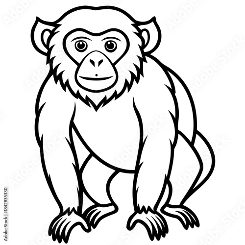 Crab-Eating Macaque Vector Art
