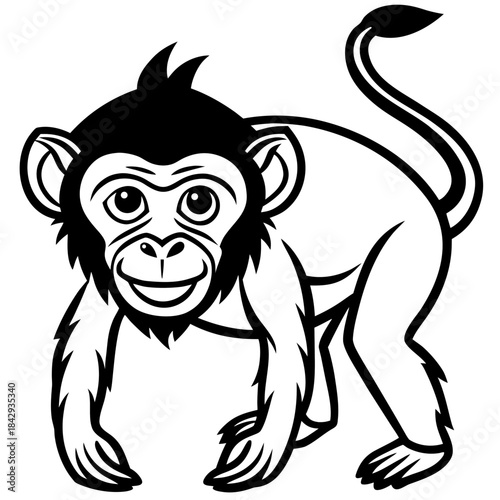 Crab-Eating Macaque Vector Art