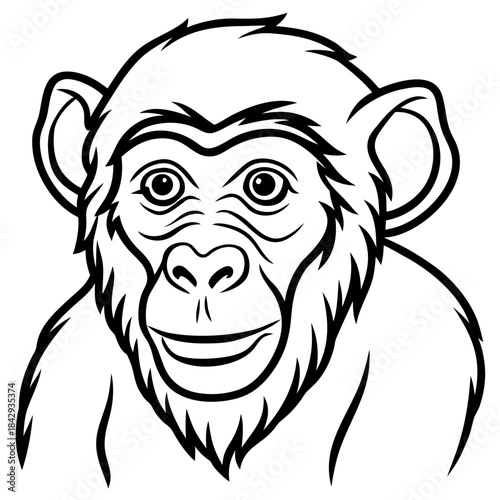 Crab-Eating Macaque Vector Art