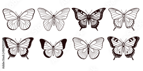 Set of eight vector black butterfly outline illustrations, isolated, insect collection, design