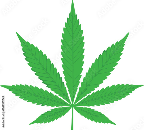 Vibrant Green Cannabis or Marijuana Leaf Vector Illustration with Detailed Serrated Edges, Representing Hemp, CBD, Wellness, and Herbal Medicine on a White Background.