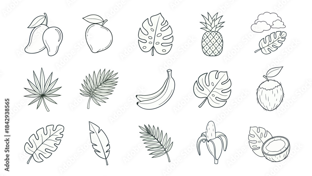 Fototapeta premium Vector illustrations of tropical fruits and leaves isolated on white background