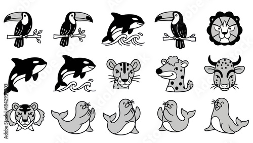 Cartoon animal illustrations orca toucan lion seal jaguar and more