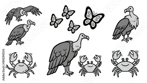 Cartoon illustrations of vultures butterflies and crabs on white background