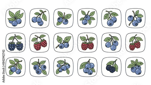 Cartoon berries collection with blueberries raspberries and blackberries