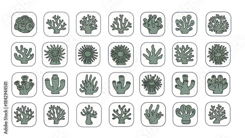 Collection of stylized coral reef illustrations with various shapes and forms