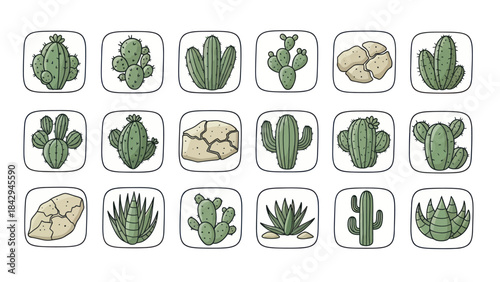 Cartoon cactus and succulent icons set for design and decoration