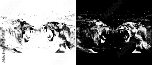 Vintage Lion and Lioness Confrontation Engraving, Inverted Black White Xerography Vector for Laser Engraving on Dark Background