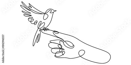 Single continuous line art drawing of a bird perching on a human finger Vector, illustration