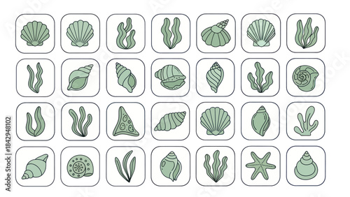 Collection of marine shells and seaweed icons in a flat vector style
