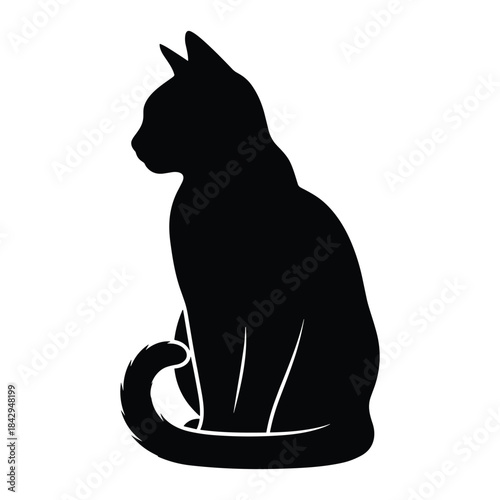Elegant black cat sitting patiently in a stark silhouette profile