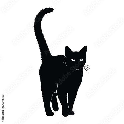 Elegant black cat standing with tail curled up silhouette