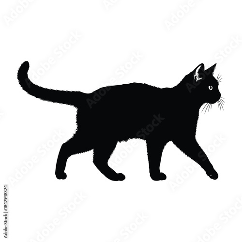 Black cat walking with tail raised silhouette