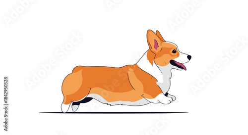 Energetic and adorable cartoon corgi dog happily running, showcasing its distinctive short legs and fluffy body, on a white background.