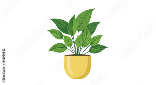 Vibrant green houseplant with lush leaves, elegantly seated in a light yellow pot, providing a fresh and natural touch on a white background.