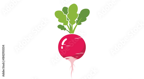 Bright red cartoon radish with fresh green leaves and a delicate root, depicted simply and clearly against a pristine white background.