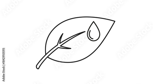 Simple line art icon depicting a single leaf with a water droplet symbolizing natural moisture and organic essence on transparent background