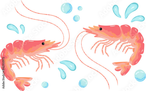 two pink shrimp elements vector illustration set with drawn splashes and water bubbles isolated sea food marine animal design for restaurant menu poster