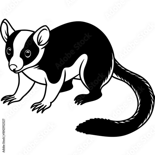Cuscus Animal Vector Silhouette