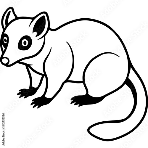 Cuscus Animal Vector Silhouette