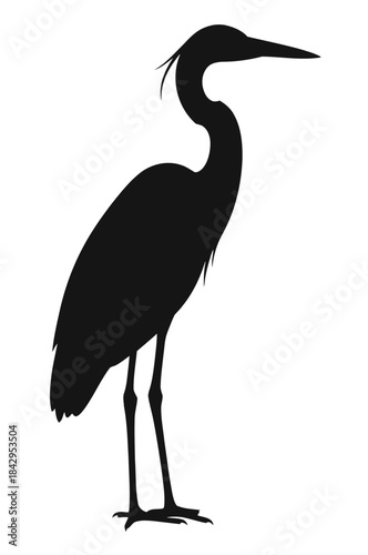 Silhouette of a Heron Standing Elegantly Against a White Background