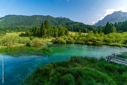 Foto Tranquil Slovenian Oasis - Zelenci Nature Reserve near Kranjska Gora