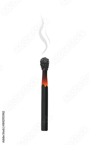 Burnt Matchstick with Fading Smoke