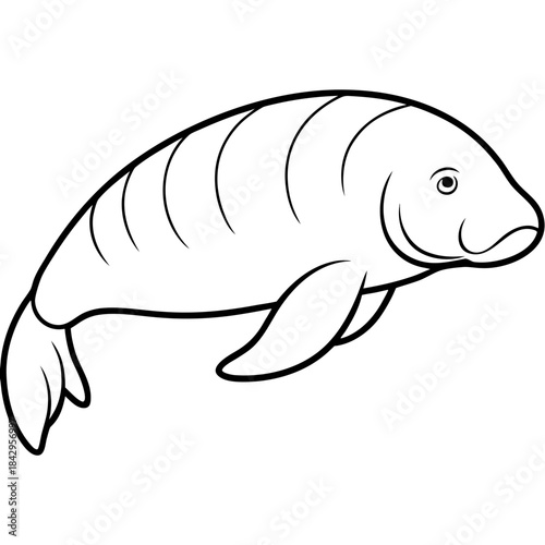 Dugong Line Art Vector – Minimal White Background Illustration