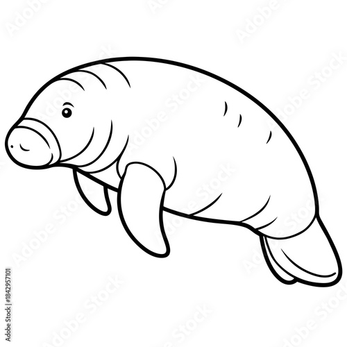 Dugong Line Art Vector – Minimal White Background Illustration