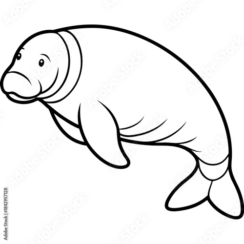 Dugong Line Art Vector – Minimal White Background Illustration