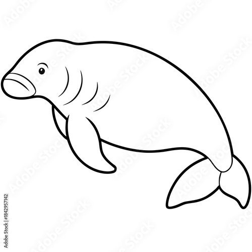 Dugong Line Art Vector – Minimal White Background Illustration