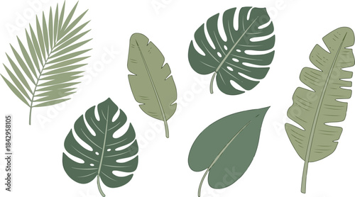  Hand-drawn tropical leaf elements, minimal style, flat green tones, isolated on white 3