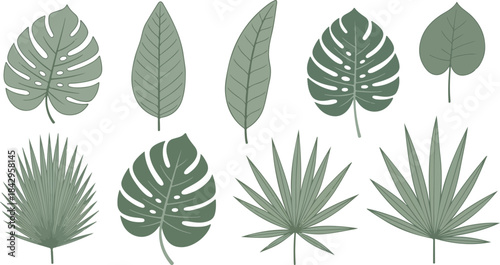  Hand-drawn tropical leaf elements, minimal style, flat green tones, isolated on white 2