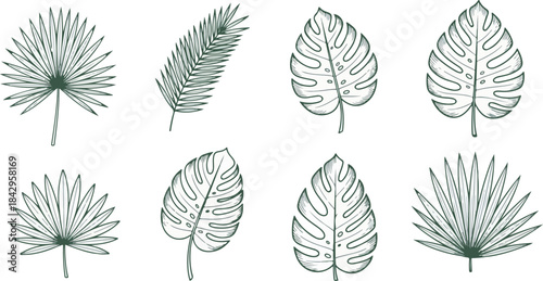  Hand-drawn tropical leaf elements, minimal style, flat green tones, isolated on white