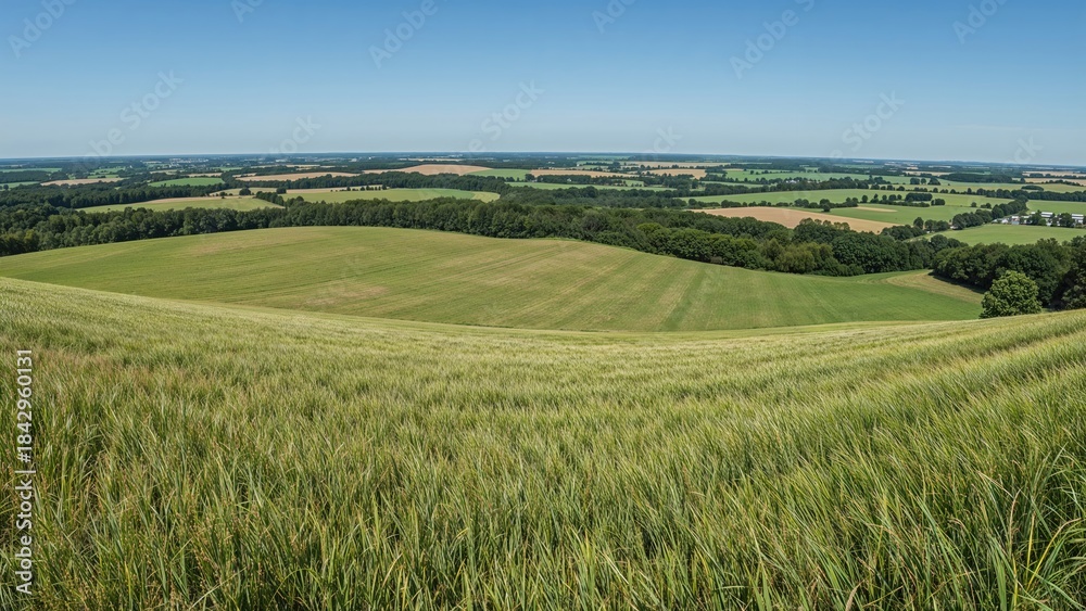 Naklejka premium A scenic view of rolling green fields and farmland under a clear blue sky.