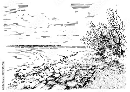 Scattered rocks on a lake shore. Line art landscape illustration converted to vector.