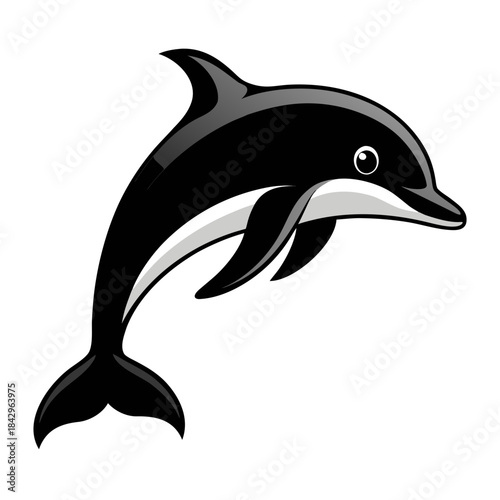 Dusky Dolphin Silhouette Vector on White Background – Simple Marine Animal Design