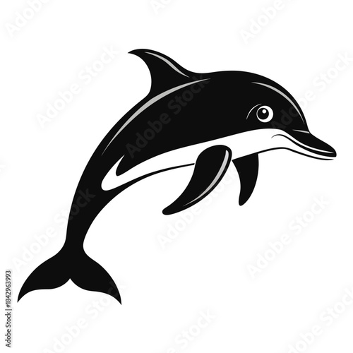 Dusky Dolphin Silhouette Vector on White Background – Simple Marine Animal Design
