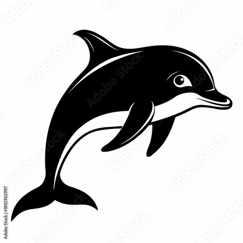 Dusky Dolphin Silhouette Vector on White Background – Simple Marine Animal Design