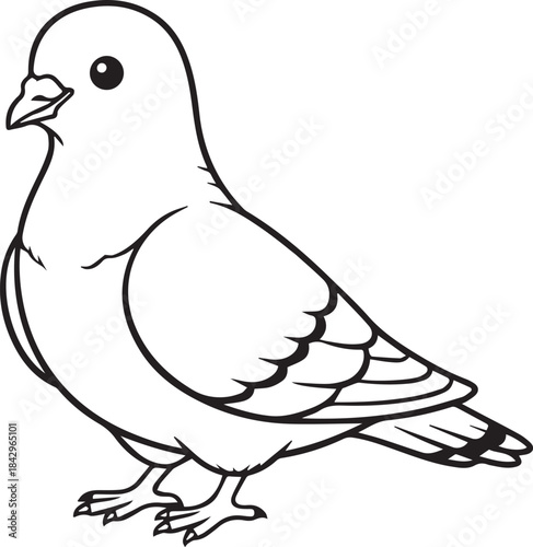 Pigeon illustrated in a soft minimal gentle bird character style with clean line art one line art