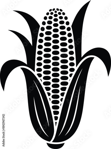 Black and white illustration of a mature corn on the cob