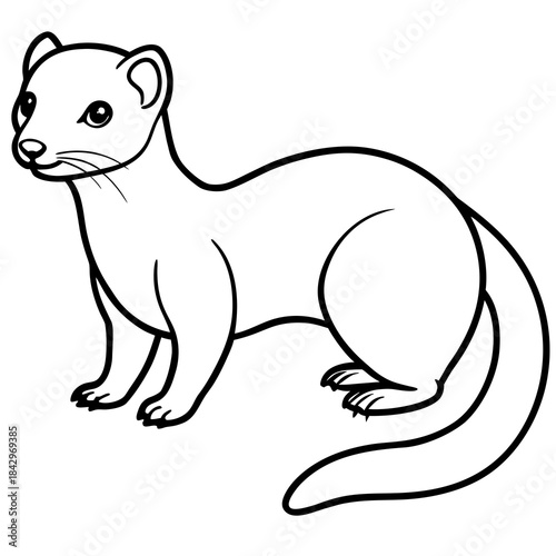 Dwarf Mongoose Line Art Vector Illustration on White Background