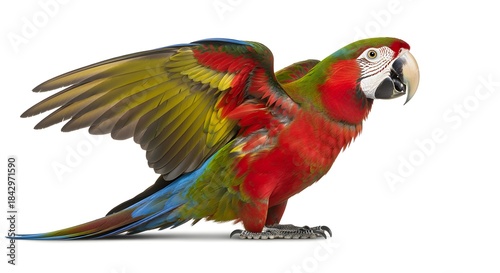 A creatively enhanced rephrasing of parrot perched with vibrant plumage and curved beak, wings slightly lifted, isolated on white, depicted with richer detail and a more artistic presentation.