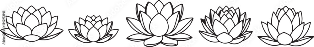 Fototapeta premium Five lotus flowers in various sizes water lily bloom also transparent background