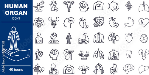 40 Line Style Human Organ Icons Anatomical Systems, Medical Health and Body Structure Symbols