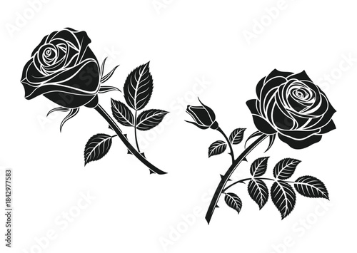 Black and white silhouette of two roses with stems and leaves