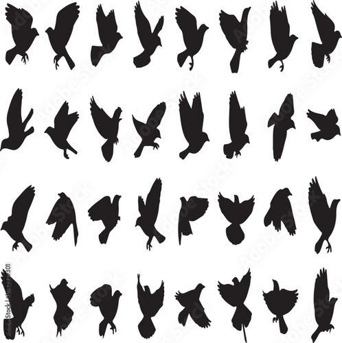 A diverse collection of flying bird silhouettes captured in various dynamic flight poses and positions