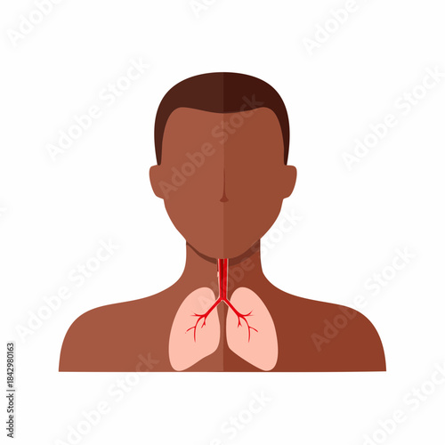 Human Respiratory System Illustrated Inside Body of a Dark Skinned Person For Medical Educational Purposes