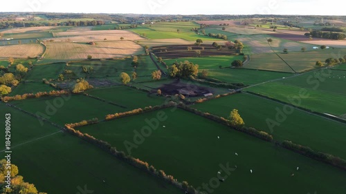 A large field with a few trees and a few cows. The cows are scattered throughout the field